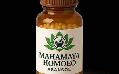 WhatsApp Image 2026-01-17 at 18.34.33